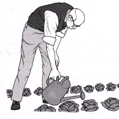 Langlebigkeit, Voraussetzungen für ein langes Leben