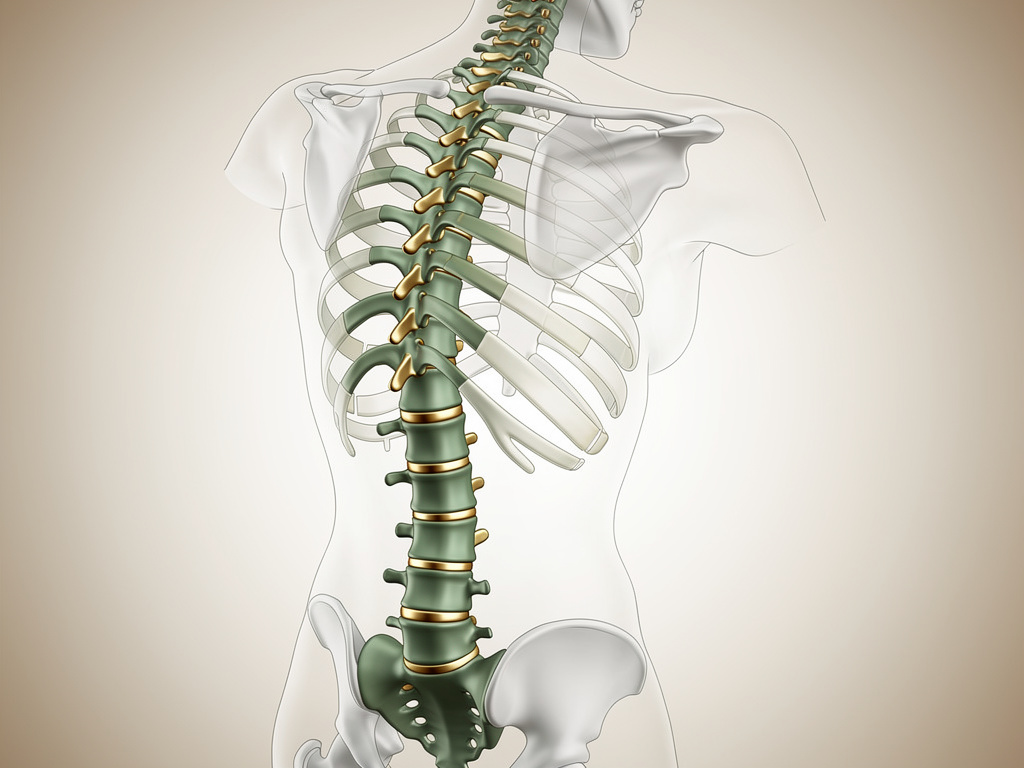 Osteoporose, Knochenschwund, Abbau der Knochen
